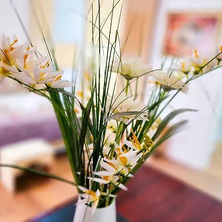 Apartment Penthouse Sweet Bliss Tirana